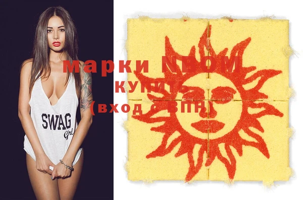 стаф Алзамай
