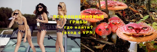 стаф Алзамай